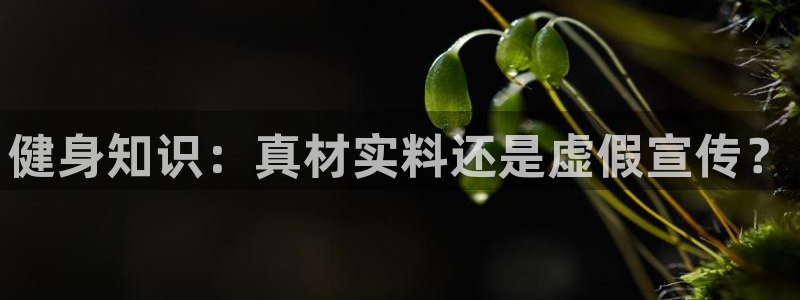 qy千亿体育官方网站